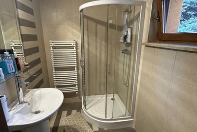 Proprietate cu piscina Dumbravita - 38