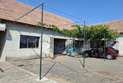 Casă în Acâș - 9