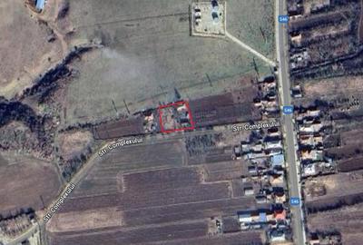 Vanzare Casa sat Valea Fetei, comuna Verguleasa, jud. Olt Vanzare Casa sat Valea Fetei, comuna Verguleasa, jud. Olt - 2