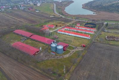 Teren Construcții intravilan de 43708 mp, în Scobâlțeni - 7