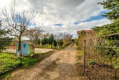 Vanzare ferma agricola Negru Voda - Constanta cu 240 hectare teren si utilaje - 7