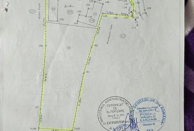 Casă cu Teren 2000 Mp în Chiheru de Jos - 2
