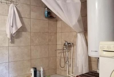 Casă cu 3 camere cu Teren 10000 Mp în Lumnic - 8