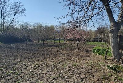 Casă cu 5 camere în Vieru - 2