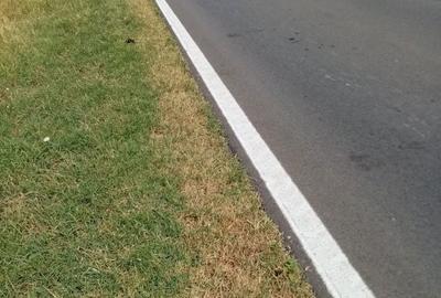 Spațiu comercial, în Ghimpați - 6