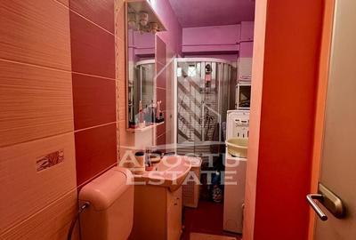 Apartament cu 3 camere decomandat, mobilat în Simion Bărnuțiu - 17