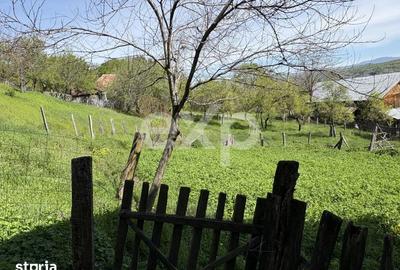Teren de 14613 mp, în Tigveni - 4