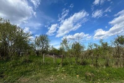 Teren de 1872 mp, în Moțăieni - 3