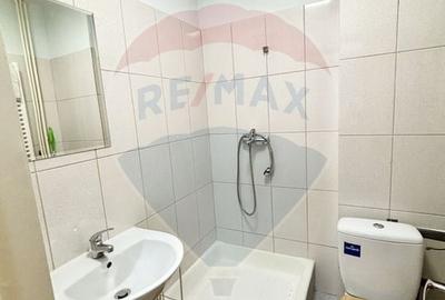 Apartament de inchiriat in zona Arcul de Triumf, Kiseleff, Averescu - 14