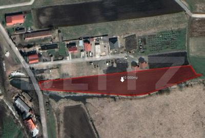 Teren 10.000mp, Sanpetru - 1