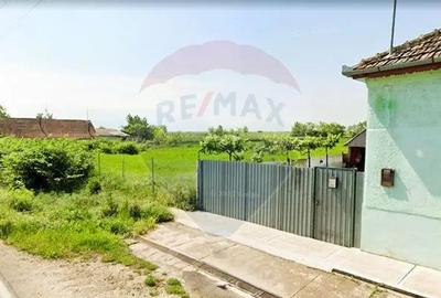 Teren de 5018 mp, în Variașu Mare - 8