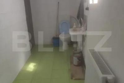 Casă cu 3 camere cu Teren 3500 Mp în Lechința - 6
