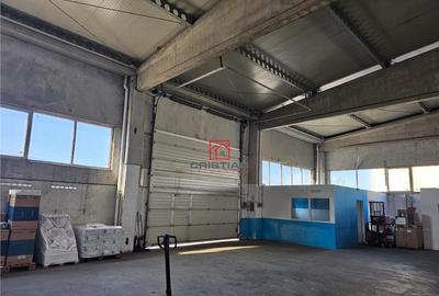 Depozit/hala/spatiu industrial Domnesti - Clinceni - Bragad - 3