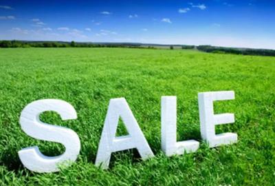 Teren în Bârghiș - 1