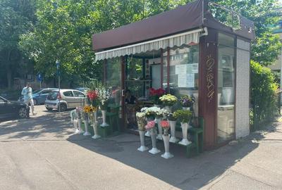 FLORARIE, STEFAN CEL MARE, SPITAL COLENTINA