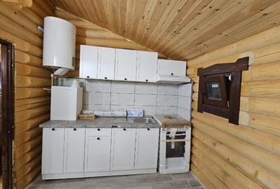 1140mp si cabana Obarsia Lotrului Transalplina 3km partia ski, TOATE UTILITATILE - 8