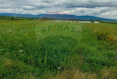 Teren superb Unciuc / jud.Hunedoara - 6