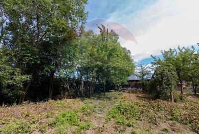 Teren intravilan cu funda?ie, proiect de casa, Avram Ian... - 2