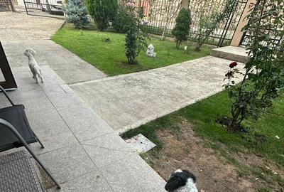 Apartament cu 2 camere decomandat în Central - 11