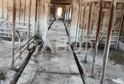 Microferma cu locuinta de vanzare in Pianu de sus - 11