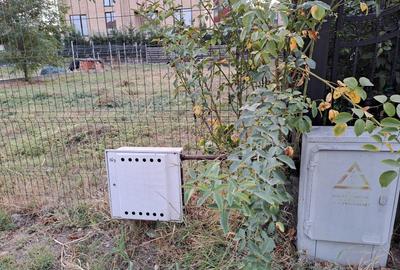 Teren de vanzare Tamasi / Corbeanca [ toate utilitatile disponibile ] - 3