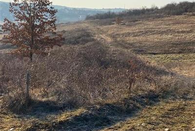 Teren Construcții intravilan de 1250 mp, în Spitalul Județean