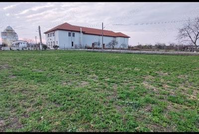 Teren de 1260 mp, în Ceamurlia de Jos - 2
