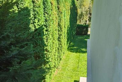 Vilă de vânzare în munții Retezat - 12