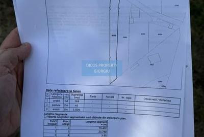 DE VANZARE Teren intravilan Comuna Daia,Jud Giurgiu - 3