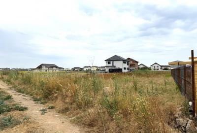 Teren Intravilan pe Strada Bega/Com. Berceni – Locatia Perfecta pentru Casa Ta - 1