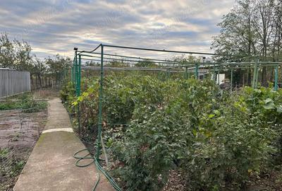 Casă cu 4 camere în Gostilele - 3