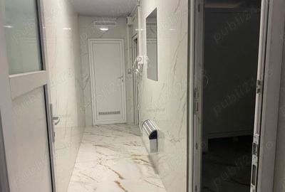 Spatiu SAD, Hala, depozit, Calea Aradului 246 - 486 mp - 4