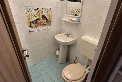 Apartament cu 3 camere decomandat, mobilat în P-ța Muncii - 11