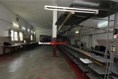 Hala de inchiriat in Marghita - 10