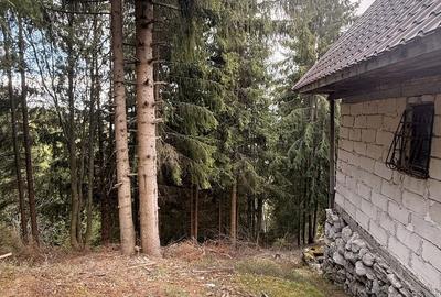 Casă cu 2 camere în Muntele Cacovei - 3