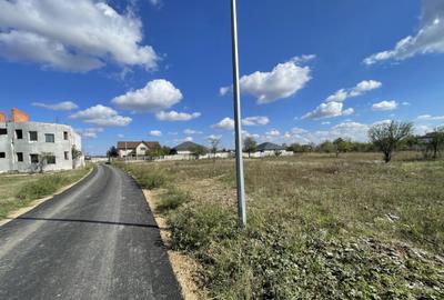 Domne?ti, Str Teiului, 515mp, intravilan, utilita?i, 29ml - 1