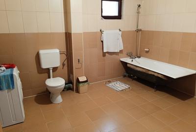 Casă individuală cu 5 camere cu Canalizare în Valu lui Traian - 13