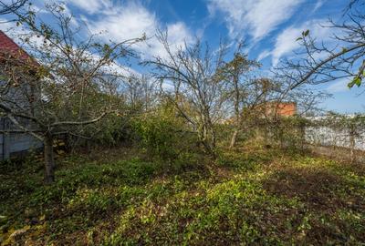 SNAGOV – CENTRAL, CASA 144 MP, LOT 1000 MP! - 26