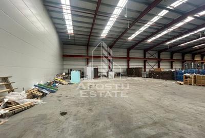 Hala 600 mp constructie noua Sacalaz - 4