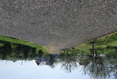 Casă cu 4 camere cu Teren 5800 Mp în Tăuții-Măgherăuș - 7