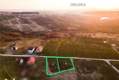Teren de 805 mp, în Podgoria - 14