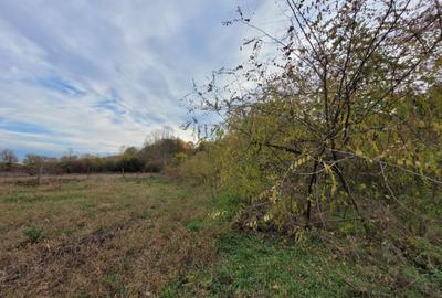 Teren intravilan, 4967 mp, utilita?i, sat Rasova, Bale? - 4