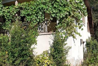 Casă cu 2 camere cu Teren 3100 Mp în Bunești (Mălureni) - 9