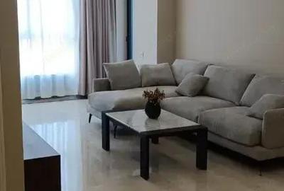 Apartament cu 2 camere semidecomandat în Tineretului - 3