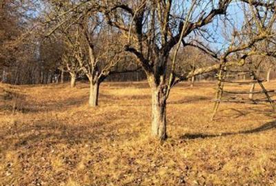 Teren de 2920 mp, în Șuici - 1