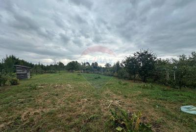 Casă cu 3 camere cu Teren 3027 Mp în Lăpuș - 1