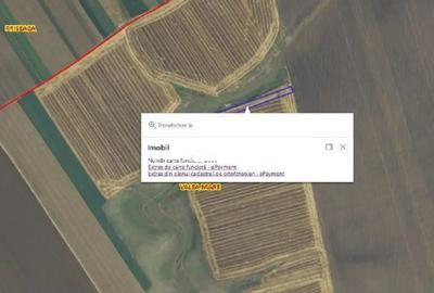 Teren de 4849 mp, în Valea Mare - 2