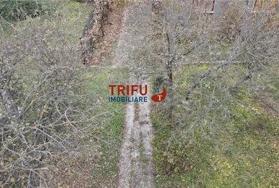 Teren Ideal pentru Locuinte in Cetate - Oportunitate Unica! - 2