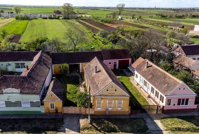 Vand casa in Chesin?, com. Zabrani, jud. Arad 2.376 mp teren - 2