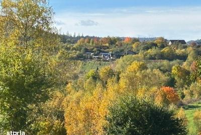 Teren de 631 mp, în Agapia - 7